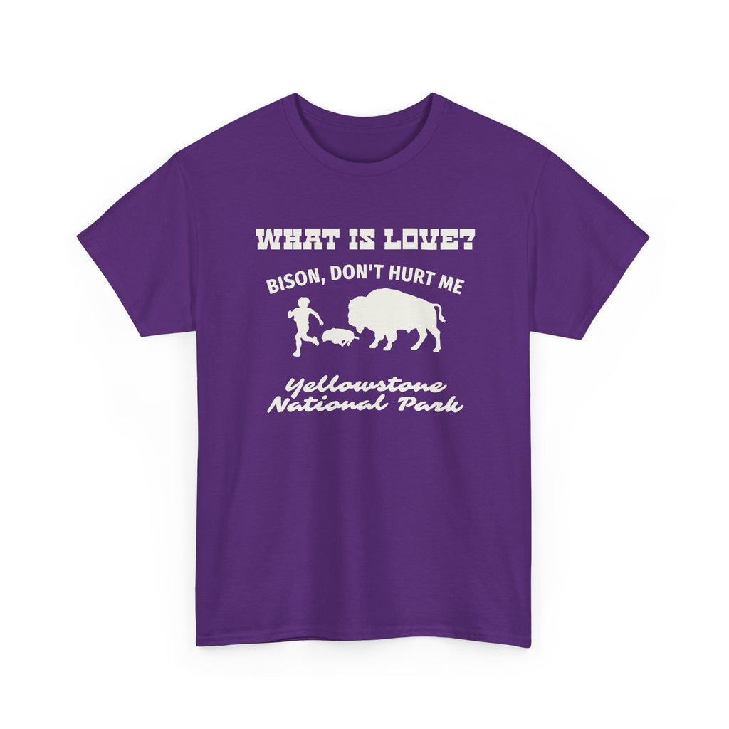 Yellowstone Bison T-Shirt — What Is Love? Bison Don't Hurt Me