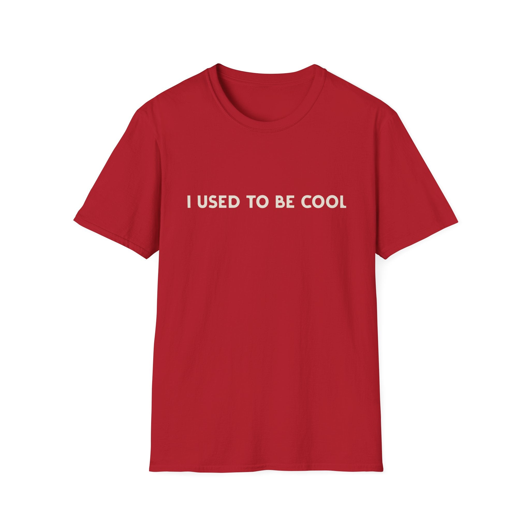 I Used to Be Cool Tee