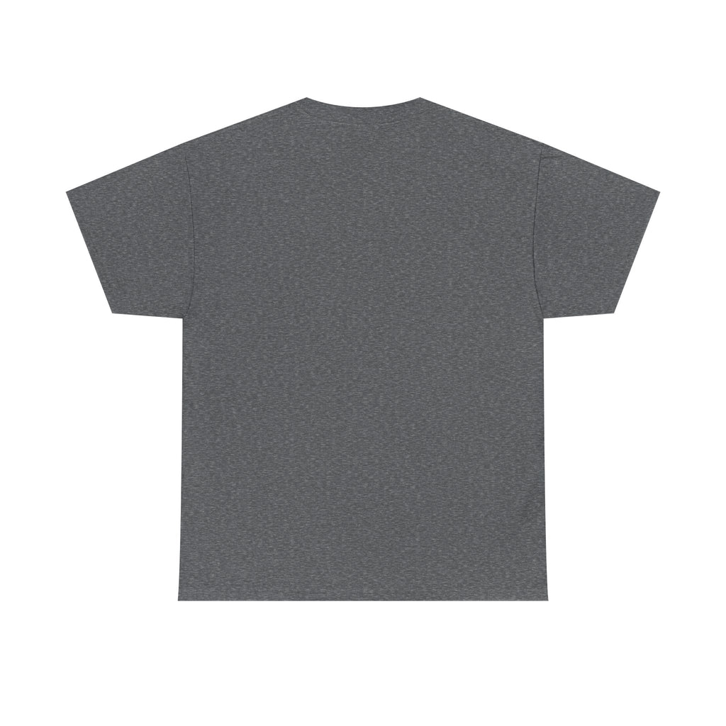 Party Like It's 1776 Patriotic Bear T-Shirt — 4th of July Summer Tee