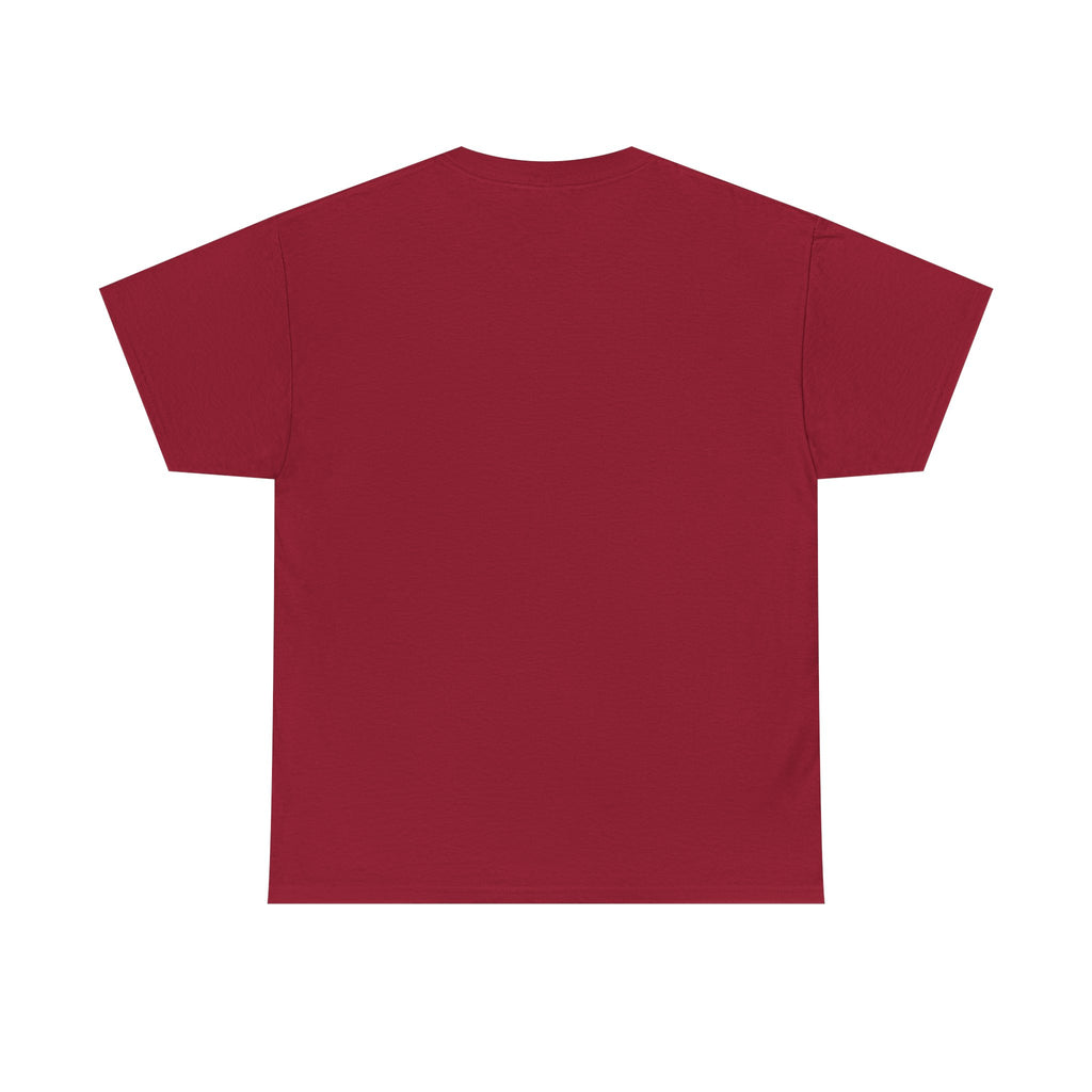 Party Like It's 1776 Patriotic Bear T-Shirt — 4th of July Summer Tee