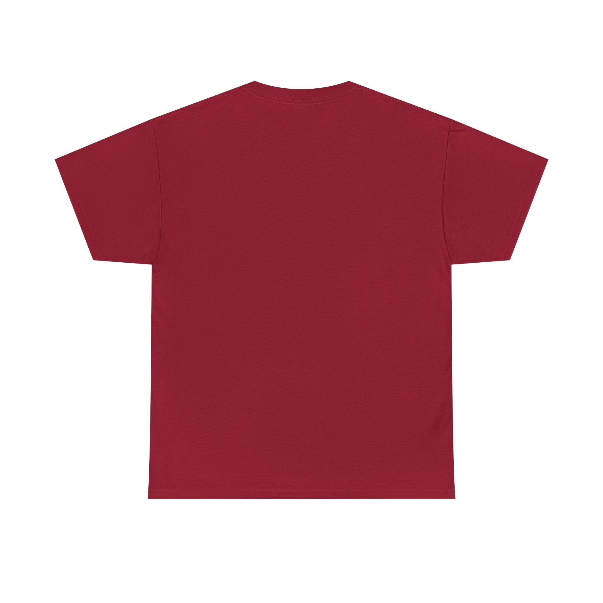Party Like It's 1776 Patriotic Bear T-Shirt — 4th of July Summer Tee