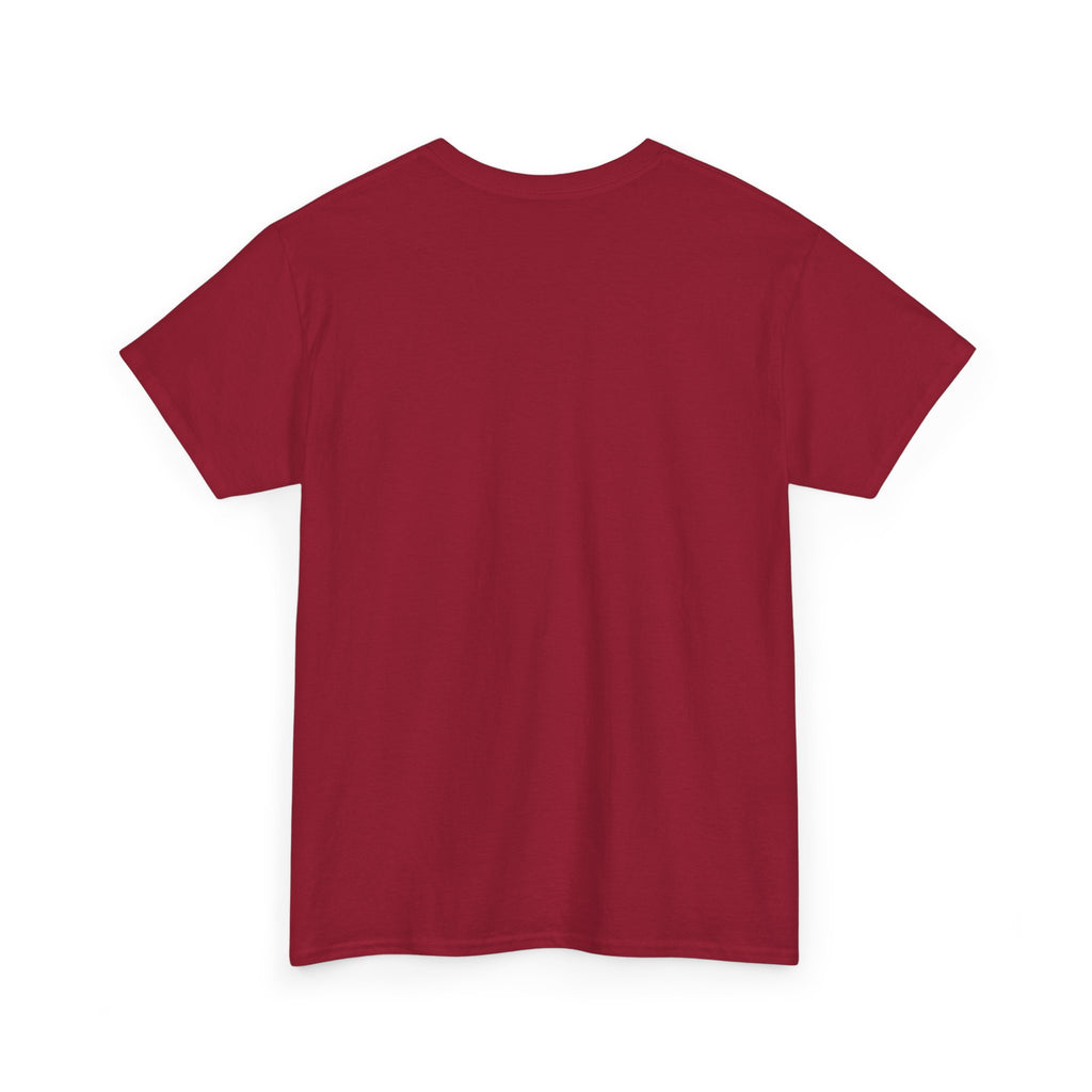 Party Like It's 1776 Patriotic Bear T-Shirt — 4th of July Summer Tee