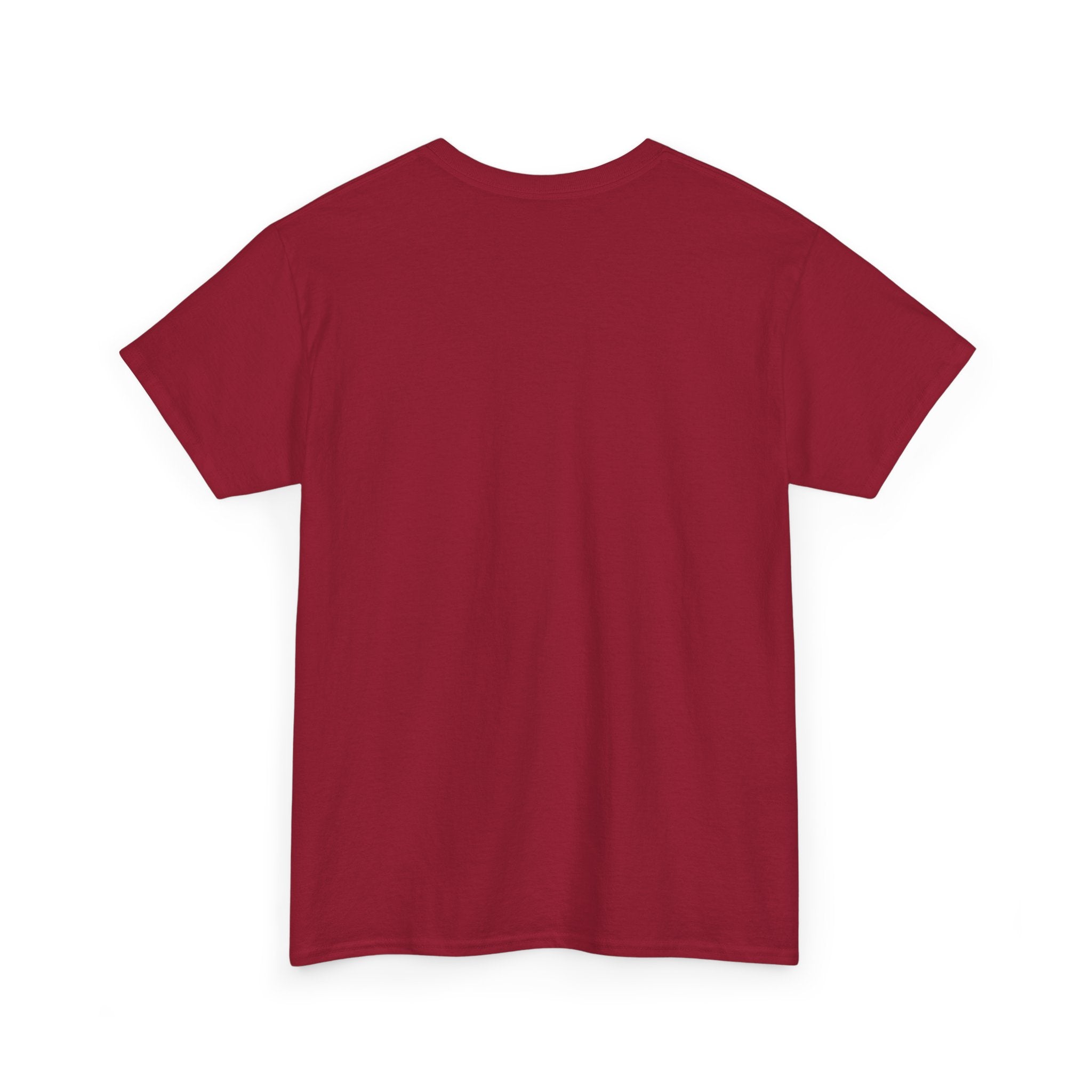 Party Like It's 1776 Patriotic Bear T-Shirt — 4th of July Summer Tee